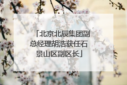 北京北辰集团副总经理胡浩获任石景山区副区长