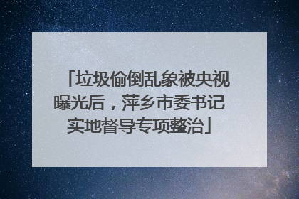 垃圾偷倒乱象被央视曝光后，萍乡市委书记实地督导专项整治