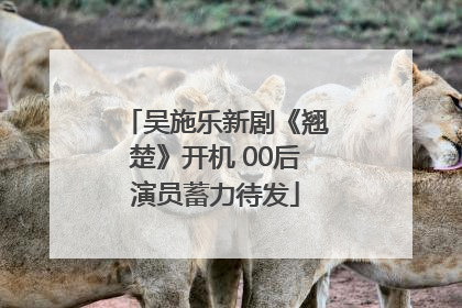 吴施乐新剧《翘楚》开机 00后演员蓄力待发