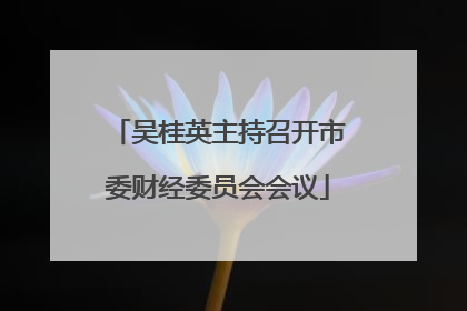 吴桂英主持召开市委财经委员会会议