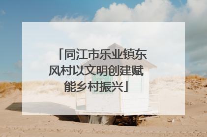 同江市乐业镇东风村以文明创建赋能乡村振兴