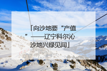向沙地要“产值”——辽宁科尔沁沙地兴绿见闻