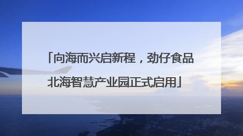 向海而兴启新程，劲仔食品北海智慧产业园正式启用