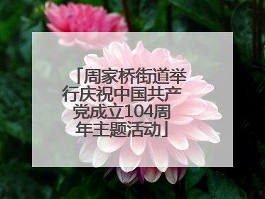 周家桥街道举行庆祝中国共产党成立104周年主题活动