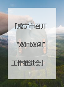 咸宁市召开“双回双创”工作推进会