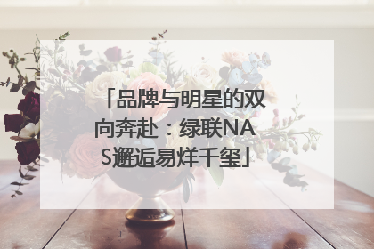 品牌与明星的双向奔赴：绿联NAS邂逅易烊千玺