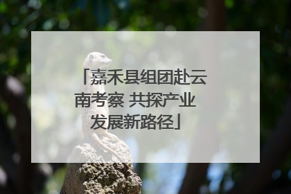 嘉禾县组团赴云南考察 共探产业发展新路径