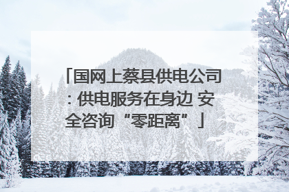 国网上蔡县供电公司：供电服务在身边 安全咨询“零距离”