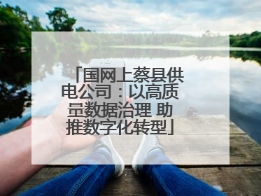 国网上蔡县供电公司：以高质量数据治理 助推数字化转型