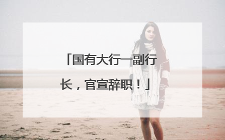 国有大行一副行长，官宣辞职！
