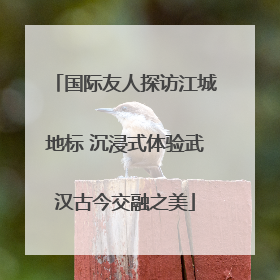 国际友人探访江城地标 沉浸式体验武汉古今交融之美