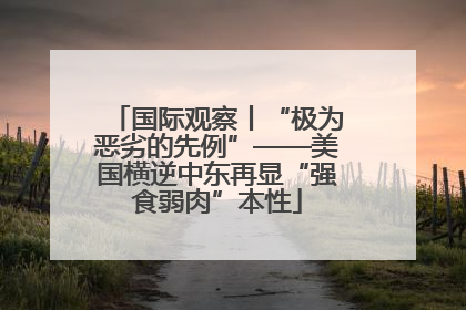 国际观察丨“极为恶劣的先例”——美国横逆中东再显“强食弱肉”本性