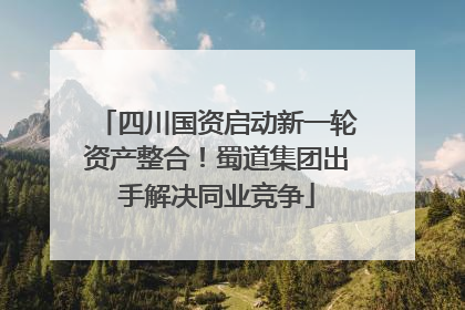 四川国资启动新一轮资产整合！蜀道集团出手解决同业竞争