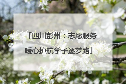 四川彭州：志愿服务暖心护航学子逐梦路