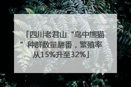 四川老君山“鸟中熊猫”种群数量翻番，繁殖率从15%升至32%