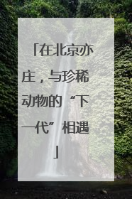 在北京亦庄，与珍稀动物的“下一代”相遇