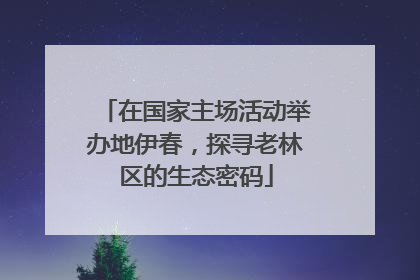 在国家主场活动举办地伊春，探寻老林区的生态密码