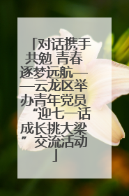 对话携手共勉 青春逐梦远航——云龙区举办青年党员“迎七一话成长挑大梁”交流活动