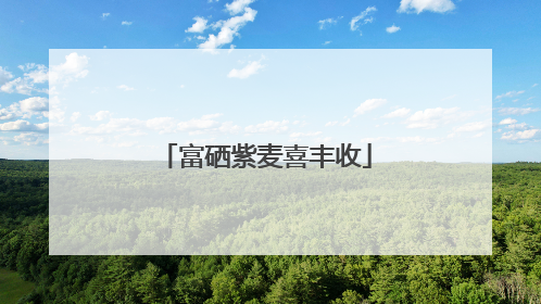富硒紫麦喜丰收