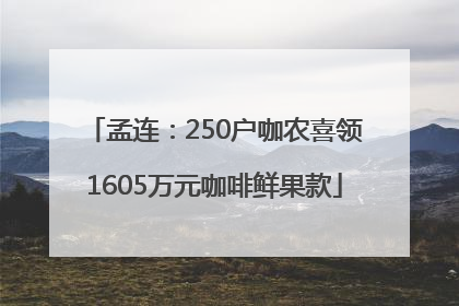 孟连：250户咖农喜领1605万元咖啡鲜果款