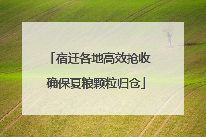 宿迁各地高效抢收 确保夏粮颗粒归仓