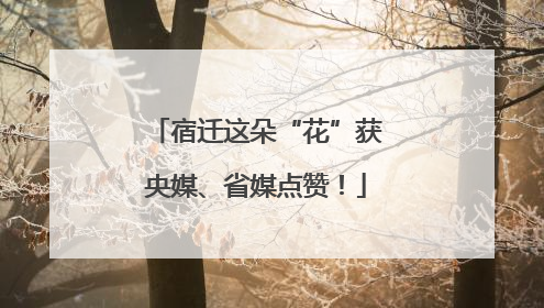 宿迁这朵“花”获央媒、省媒点赞！