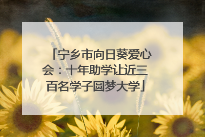 宁乡市向日葵爱心会：十年助学让近三百名学子圆梦大学