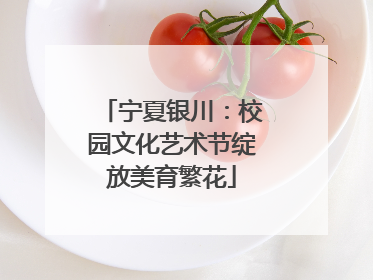 宁夏银川：校园文化艺术节绽放美育繁花