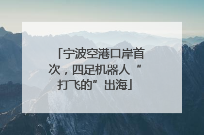 宁波空港口岸首次，四足机器人“打飞的”出海