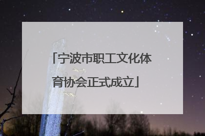 宁波市职工文化体育协会正式成立