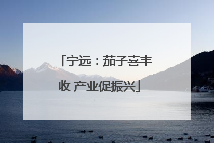 宁远：茄子喜丰收 产业促振兴