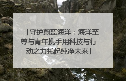 守护蔚蓝海洋：海洋至尊与青年携手用科技与行动之力托起纯净未来
