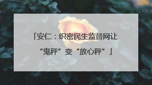 安仁：织密民生监督网让“鬼秤”变“放心秤”