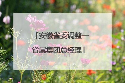 安徽省委调整一省属集团总经理