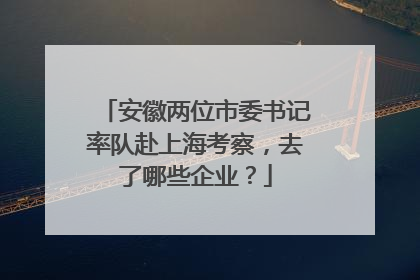 安徽两位市委书记率队赴上海考察，去了哪些企业？