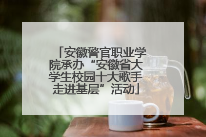 安徽警官职业学院承办“安徽省大学生校园十大歌手走进基层”活动