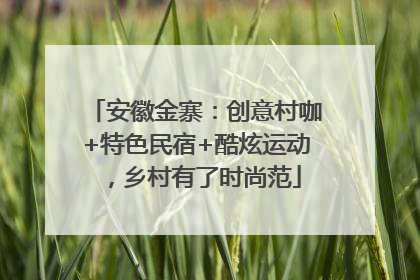 安徽金寨：创意村咖+特色民宿+酷炫运动，乡村有了时尚范