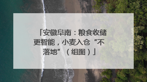 安徽阜南：粮食收储更智能，小麦入仓“不落地”（组图）