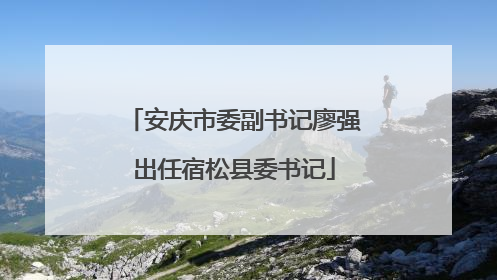安庆市委副书记廖强出任宿松县委书记