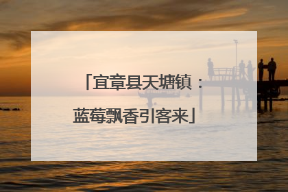 宜章县天塘镇：蓝莓飘香引客来