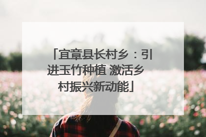 宜章县长村乡：引进玉竹种植 激活乡村振兴新动能
