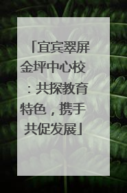宜宾翠屏金坪中心校：共探教育特色，携手共促发展