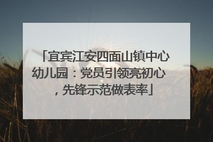 宜宾江安四面山镇中心幼儿园：党员引领亮初心，先锋示范做表率