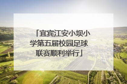 宜宾江安小坝小学第五届校园足球联赛顺利举行