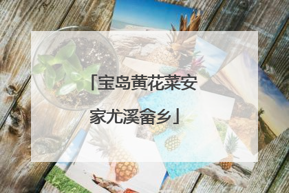 宝岛黄花菜安家尤溪畲乡