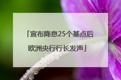 宣布降息25个基点后 欧洲央行行长发声