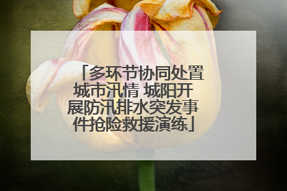 多环节协同处置城市汛情 城阳开展防汛排水突发事件抢险救援演练