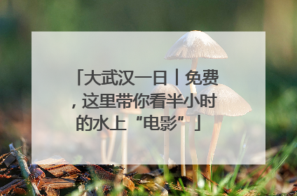 大武汉一日︱免费，这里带你看半小时的水上“电影”