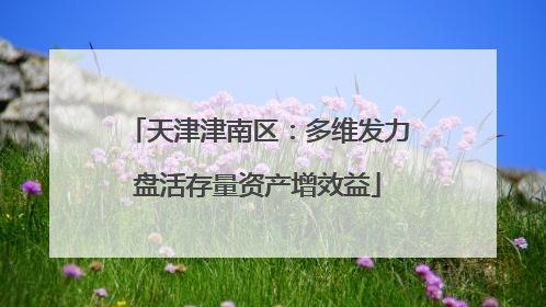 天津津南区：多维发力盘活存量资产增效益