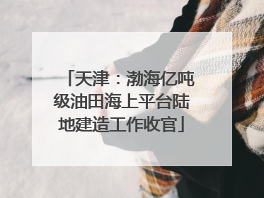 天津：渤海亿吨级油田海上平台陆地建造工作收官